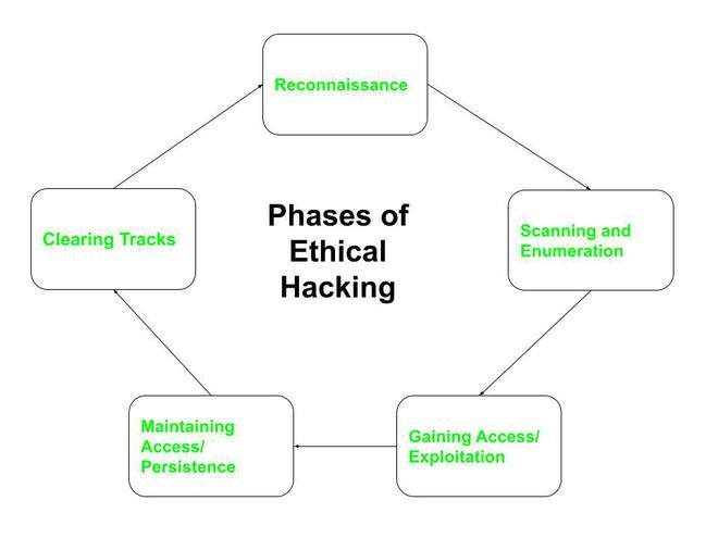 Ethical Hacking Techniques & Methodologies for System Resilience